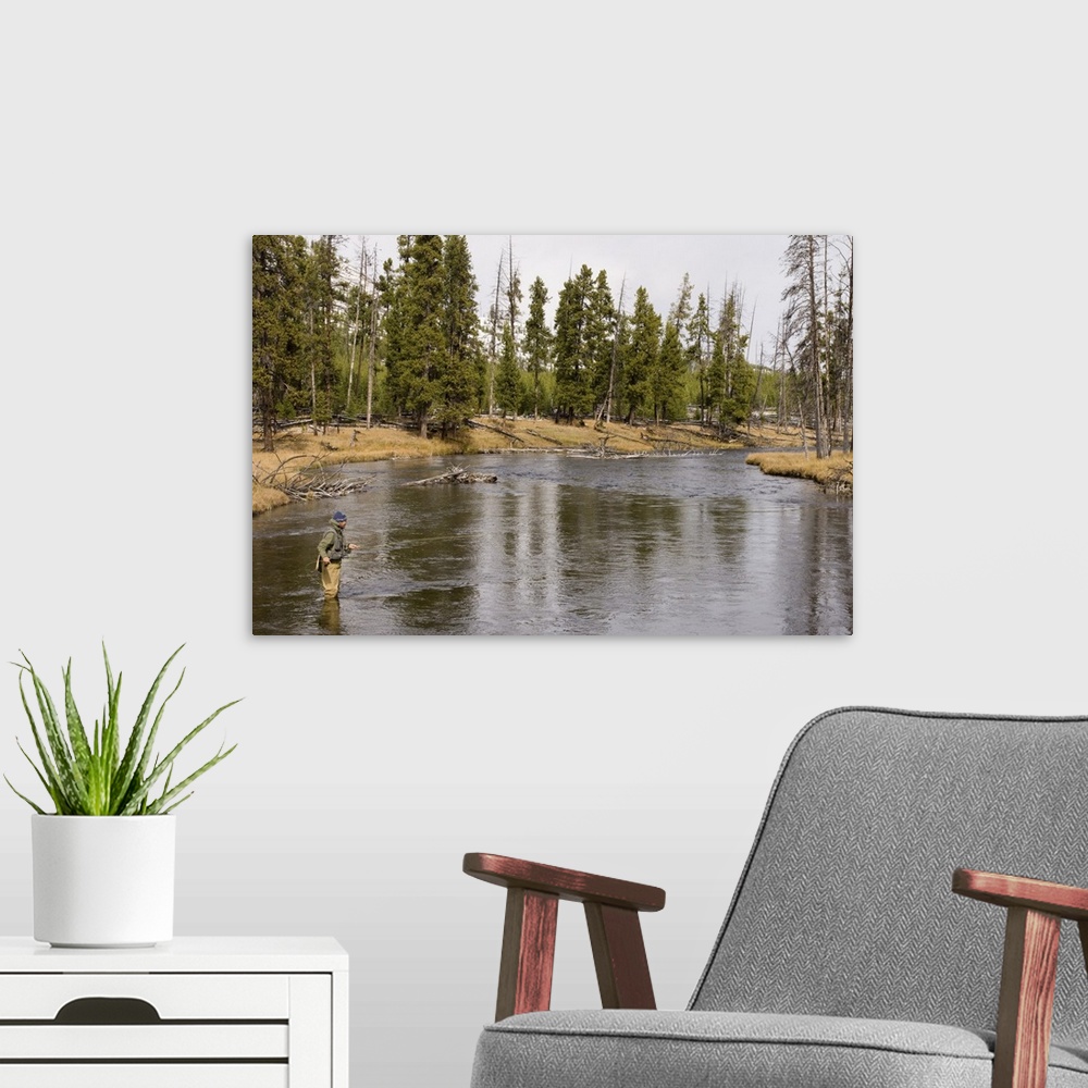 A modern room featuring Fly fishing, Firehole River, Yellowstone National Park, Wyoming