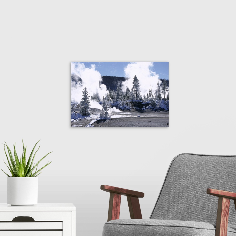 A modern room featuring Geothermal steam, frosted trees and snow-free hot ground in Norris Basin in winter, Yellowstone N...