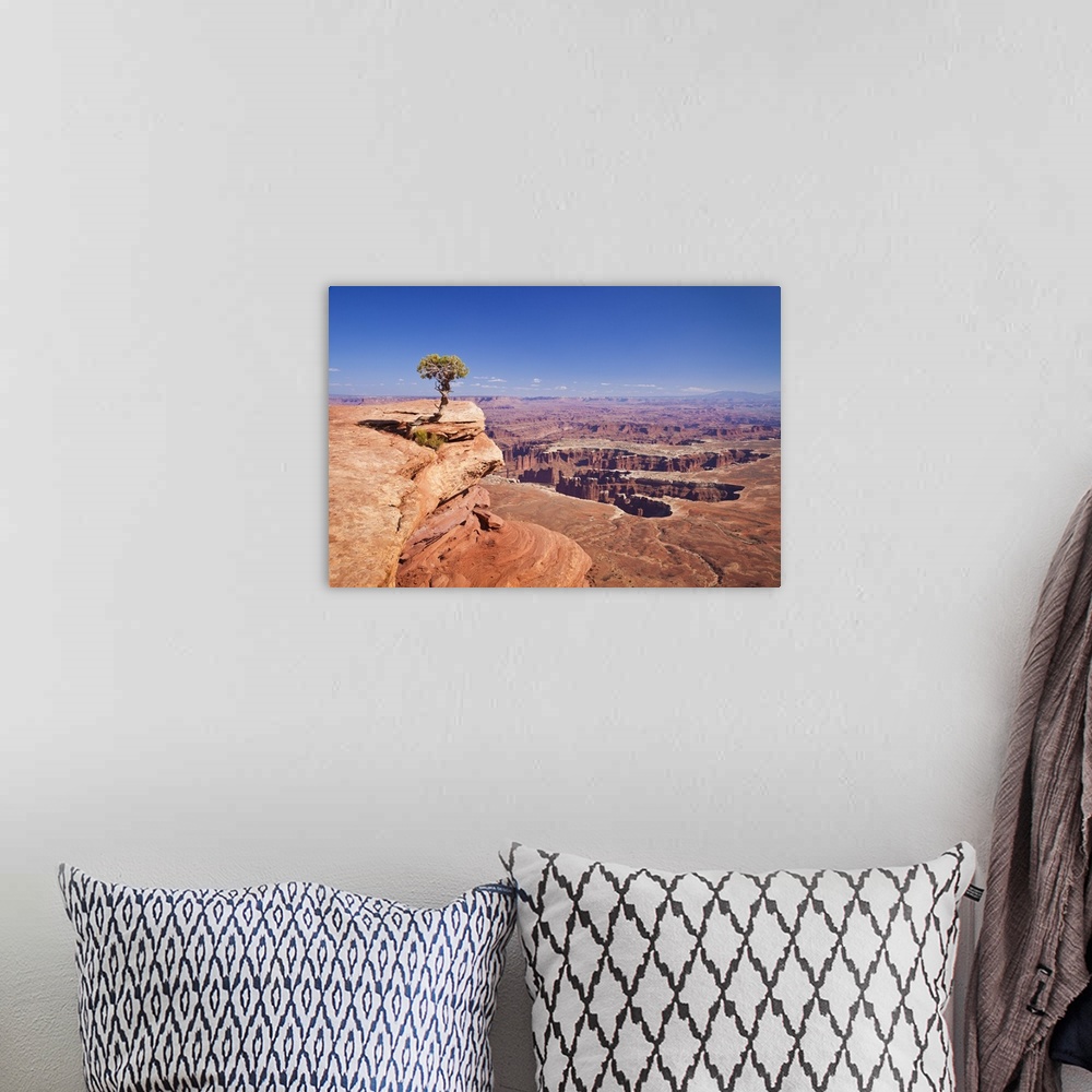 A bohemian room featuring Grand View Point overlook and juniper tree, Canyonlands National Park, Utah