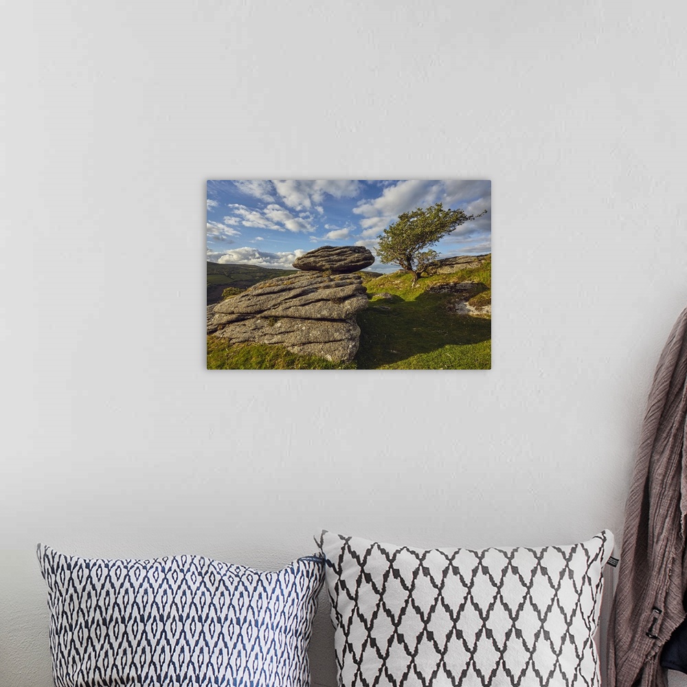 A bohemian room featuring A classic Dartmoor scene, a granite boulder and wind-gnarled hawthorn tree, on Bench Tor, Dartmoo...