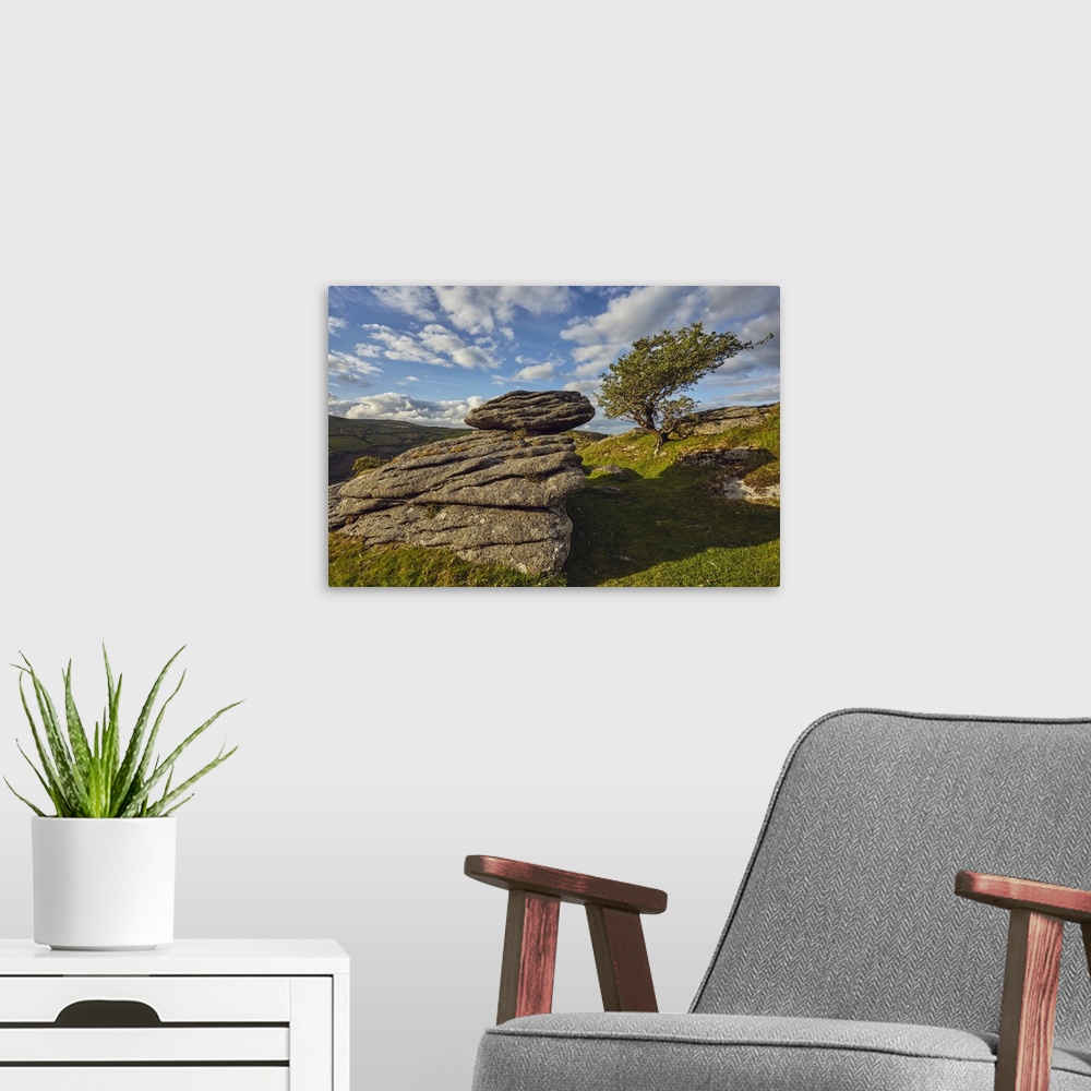 A modern room featuring A classic Dartmoor scene, a granite boulder and wind-gnarled hawthorn tree, on Bench Tor, Dartmoo...