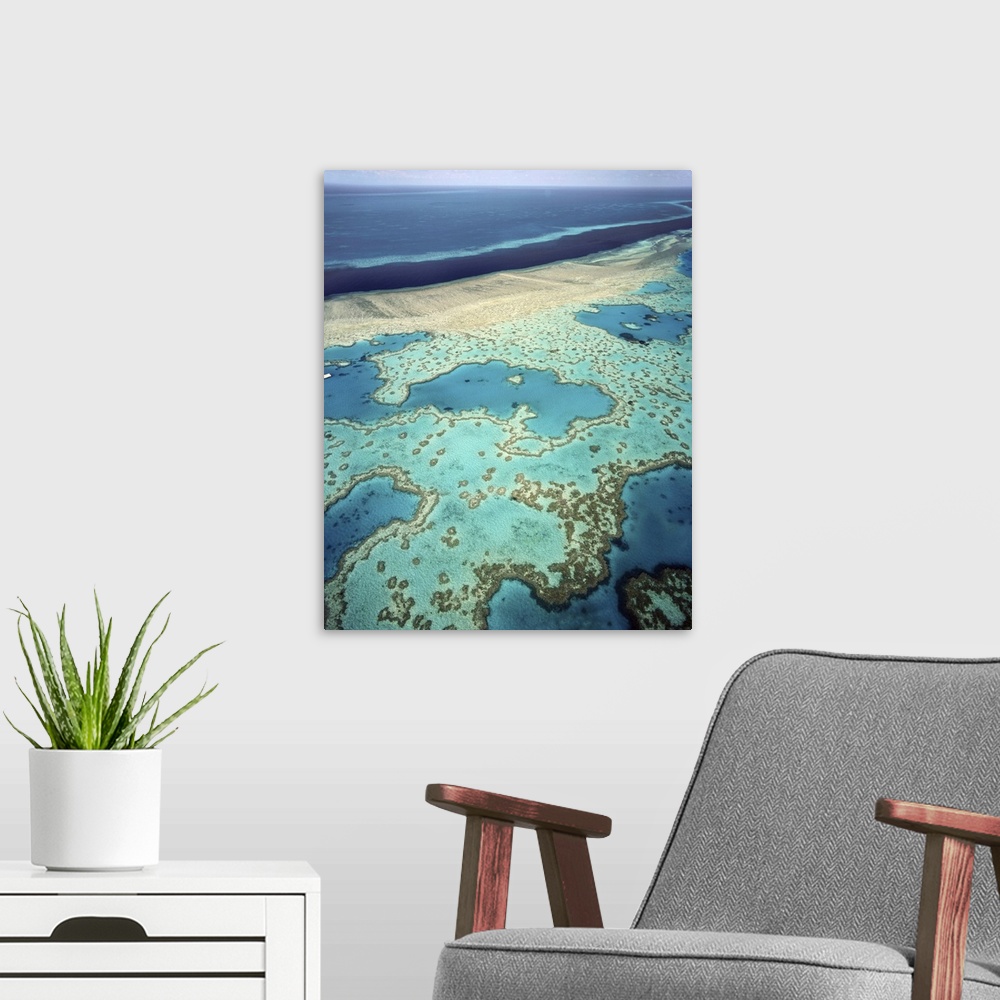A modern room featuring Great Barrier Reef, UNESCO World Heritage Site, Queensland, Australia, Pacific