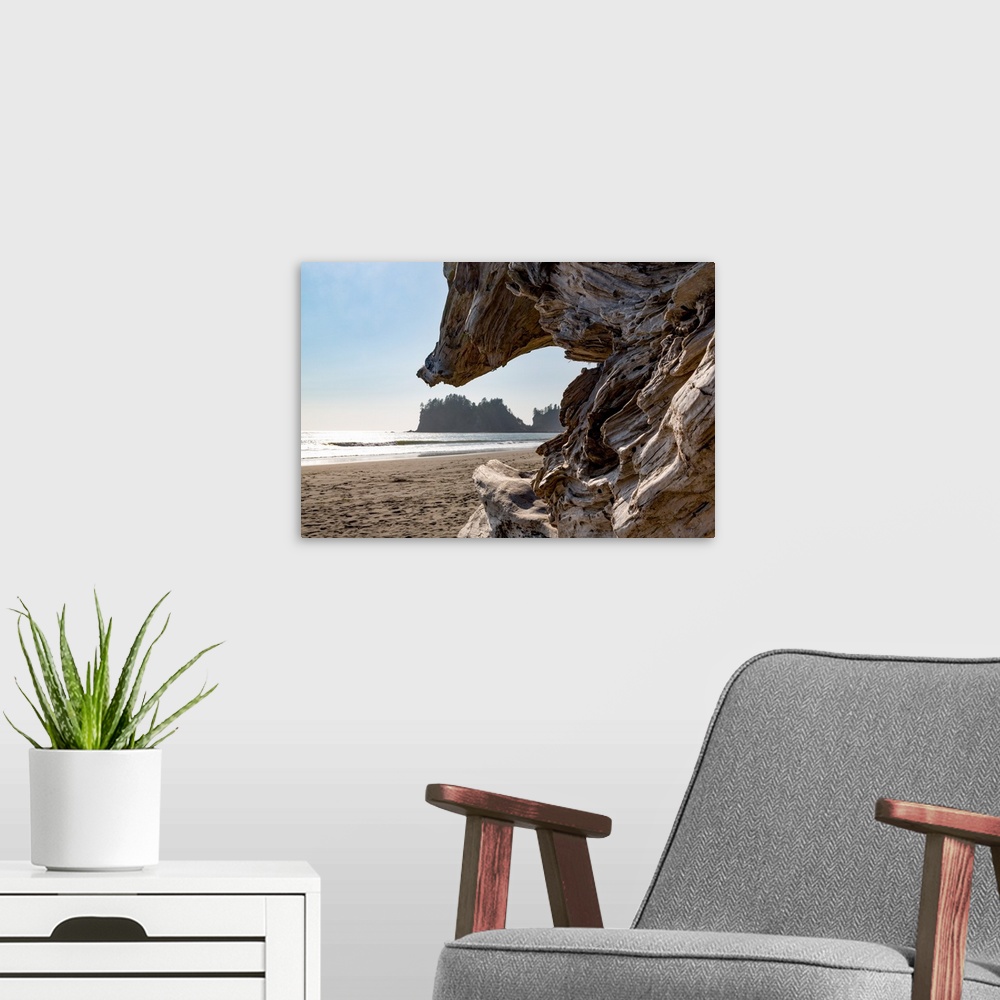 A modern room featuring Headland at La Push Beach in the the Pacific Northwest, Washington State