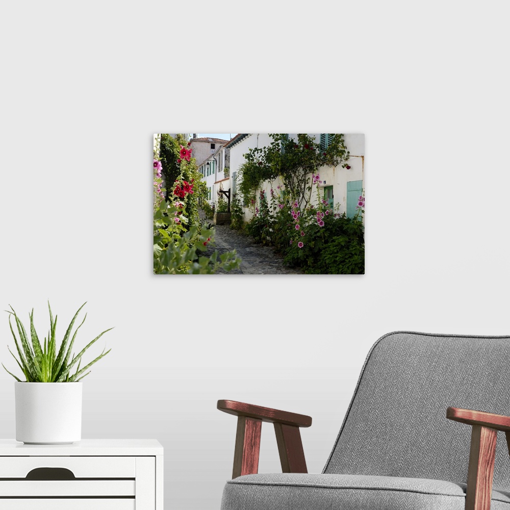 A modern room featuring Hollyhocks lining a street with a well, La Flotte, Ile de Re, Charente-Maritime, France