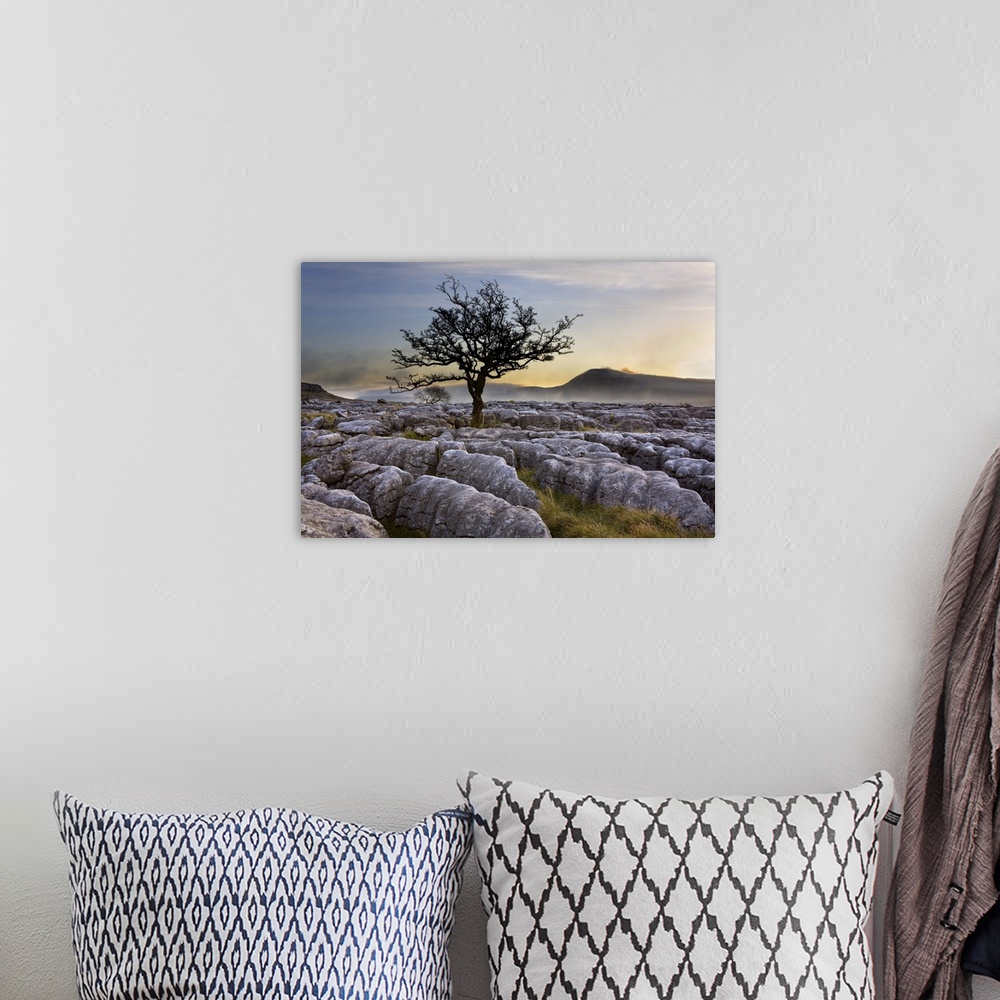 A bohemian room featuring Ingleborough and hawthorn tree at dawn from Twistleton Scars in the Yorkshire Dales, Yorkshire, E...