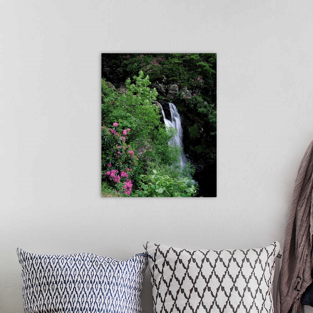 A bohemian room featuring Inversnaid Waterfall, Loch Lomond, Stirling, Central Region, Scotland, UK