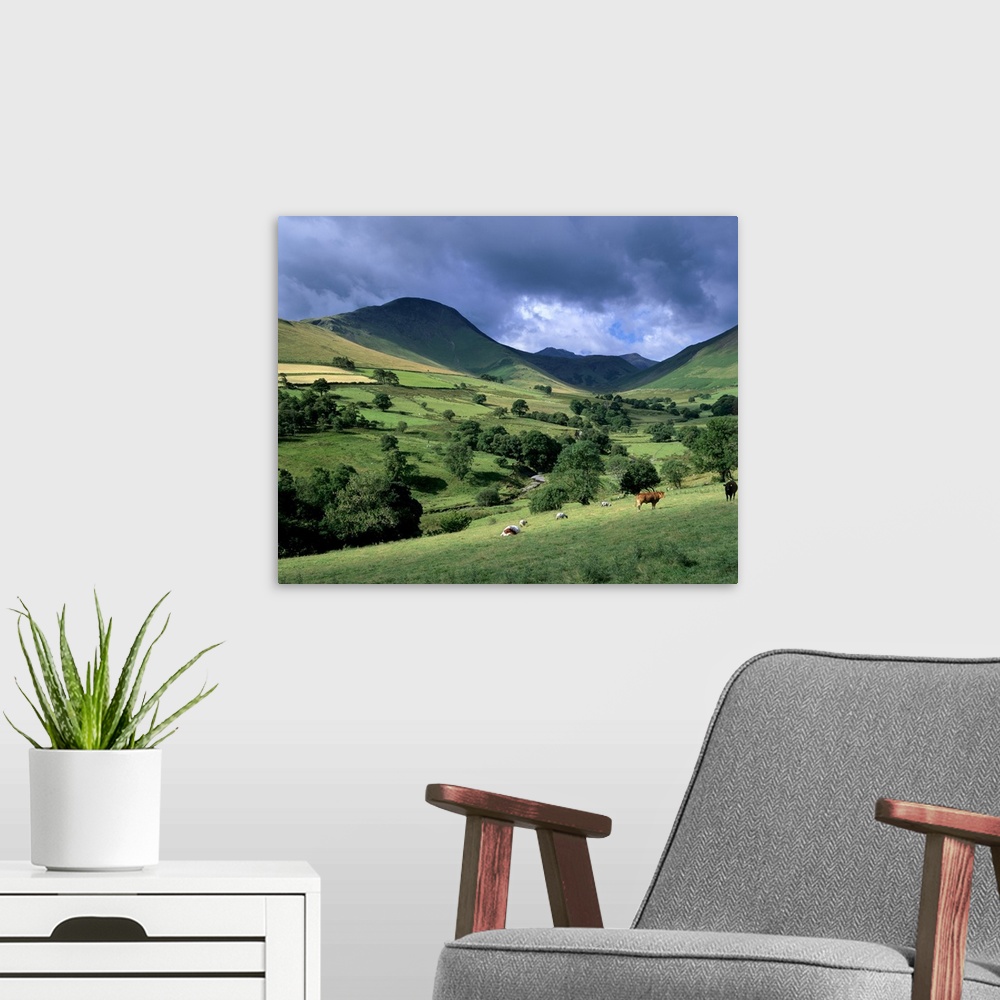 A modern room featuring Keskadale and Derwent Fells, Lake District National Park, Cumbria, England