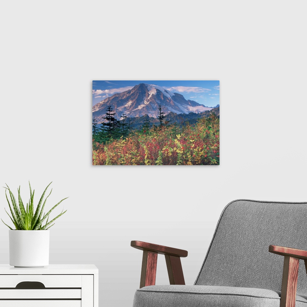 A modern room featuring Landscape, Mount Rainier National Park, Washington state