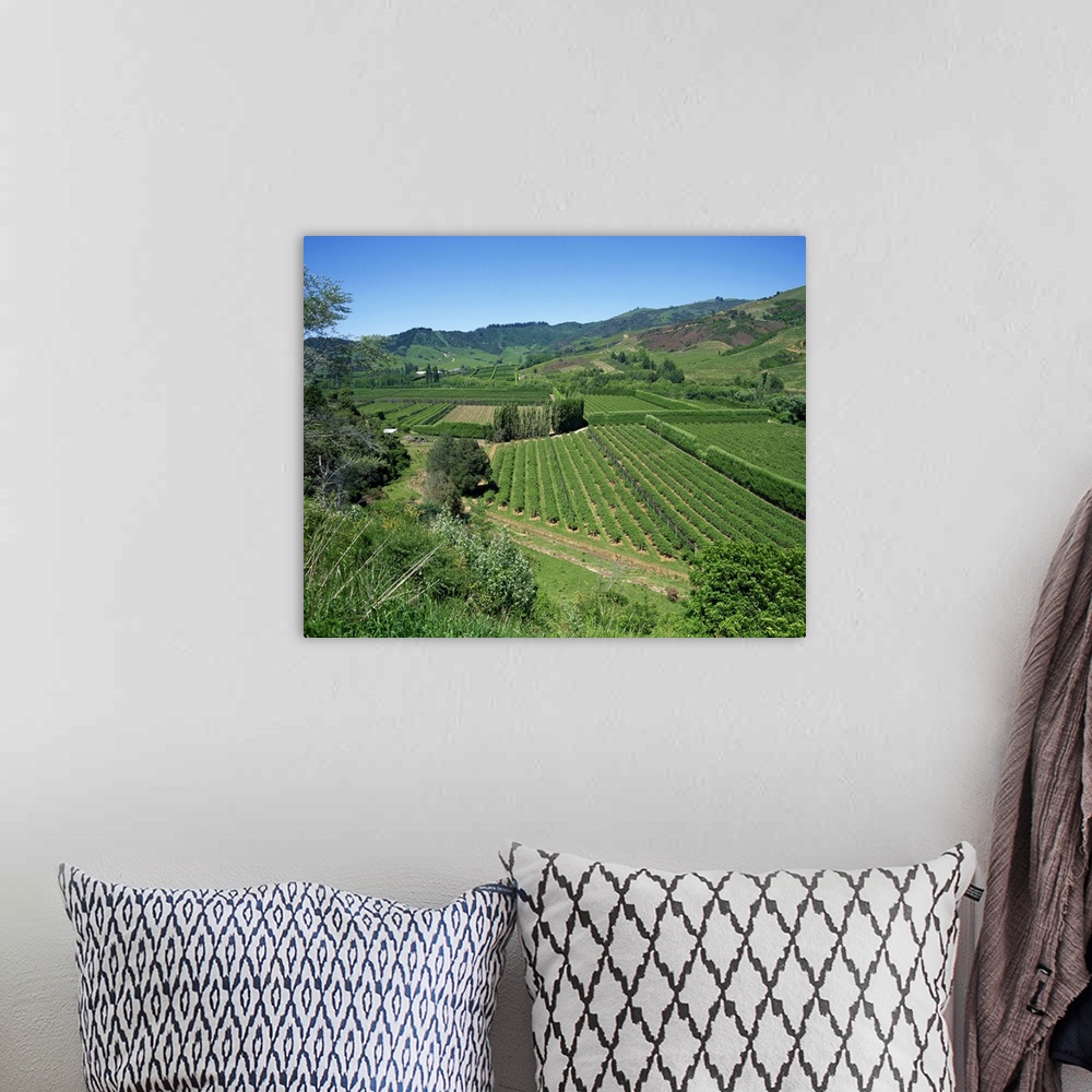A bohemian room featuring Landscape of fields and hills at Riwaka Township, South Island, New Zealand