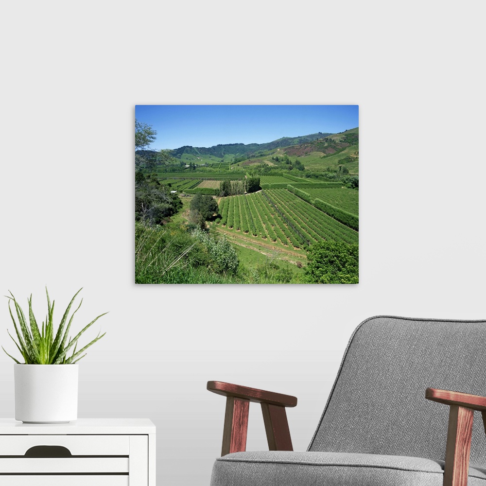 A modern room featuring Landscape of fields and hills at Riwaka Township, South Island, New Zealand