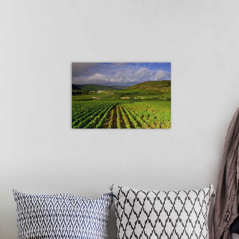 A bohemian room featuring Landscape of vineyards and hills near Beaune, Burgundy, France, Europe