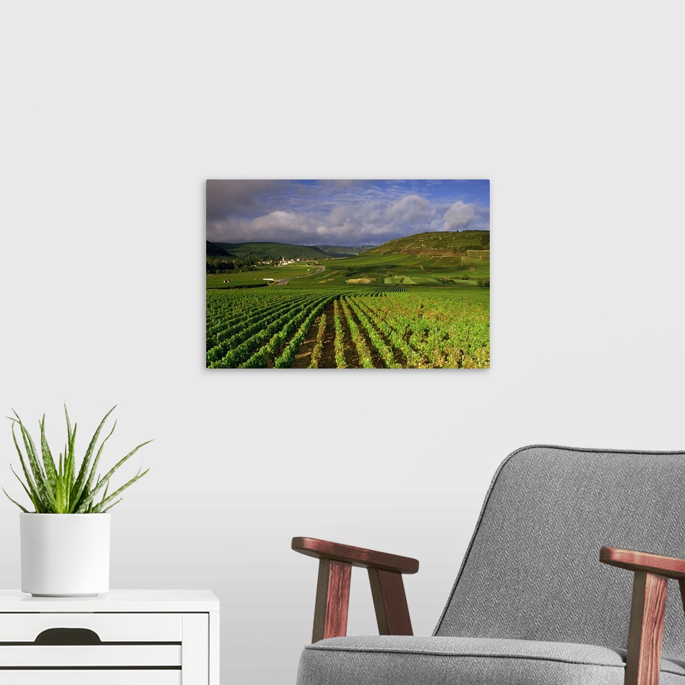 A modern room featuring Landscape of vineyards and hills near Beaune, Burgundy, France, Europe