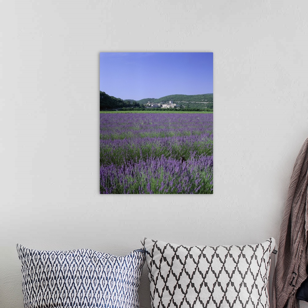A bohemian room featuring Lavender fields and the village of Montclus, Gard, Languedoc-Roussillon, France