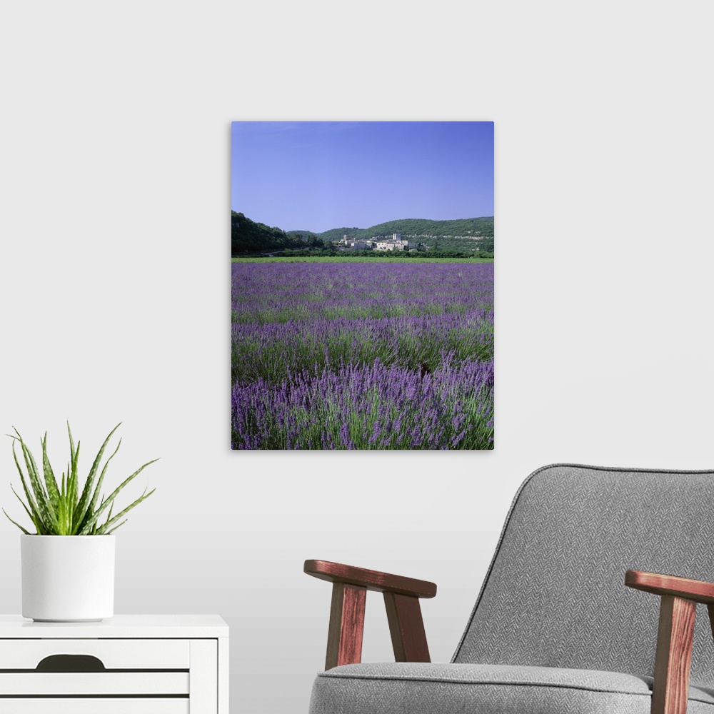 A modern room featuring Lavender fields and the village of Montclus, Gard, Languedoc-Roussillon, France