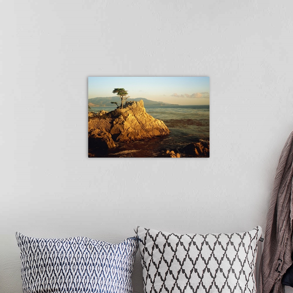 A bohemian room featuring Lone cypress tree on rocky outcrop at dusk, Carmel, California, USA