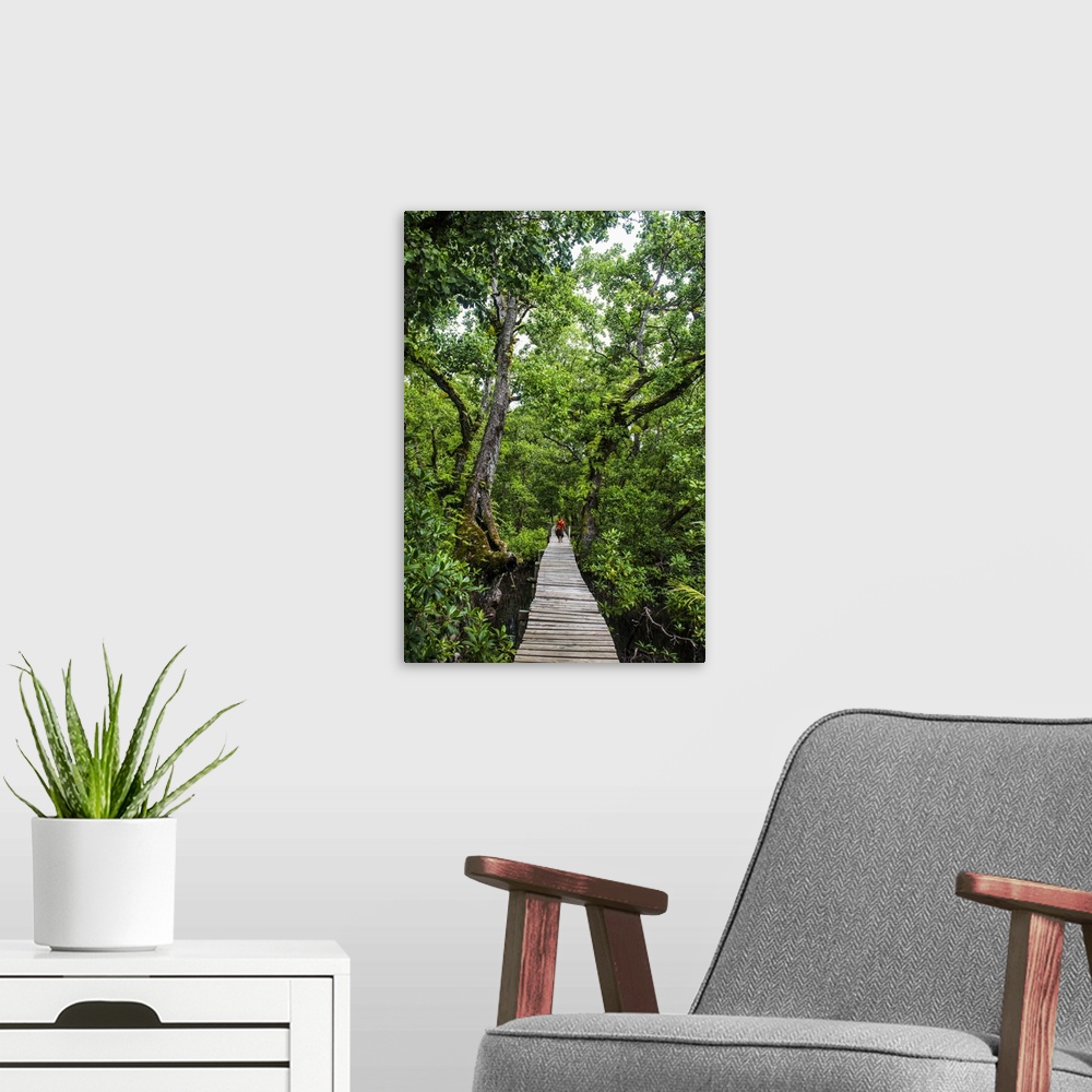 A modern room featuring Long pier over a swamp, Kosrae, Federated States of Micronesia, South Pacific