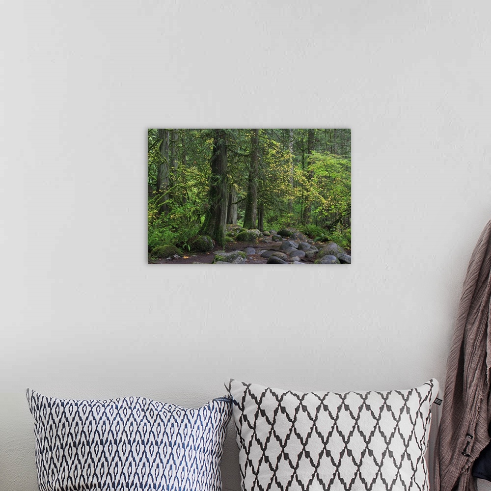 A bohemian room featuring Lynn Canyon Park, Vancouver, British Columbia, Canada, North America