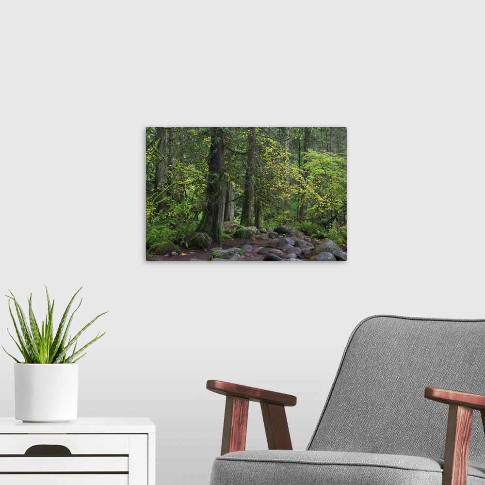 A modern room featuring Lynn Canyon Park, Vancouver, British Columbia, Canada, North America