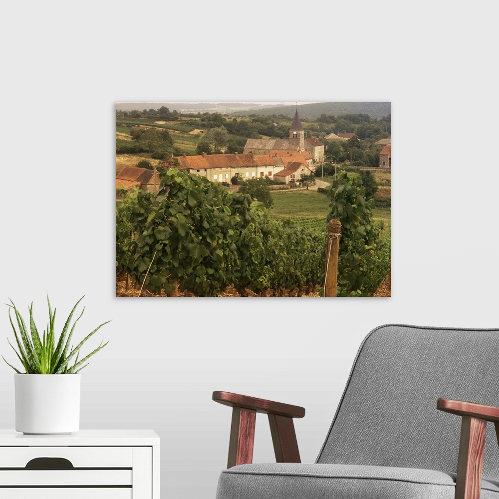 A modern room featuring Maconnais vineyards, Poilly Fuisse, Ozenay, Saone-et-Loire, Burgundy, France