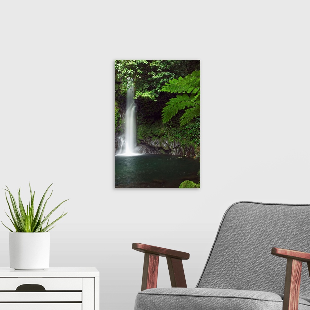 A modern room featuring Malabsay Waterfall, Bicol, southeast Luzon, Philippines, Asia
