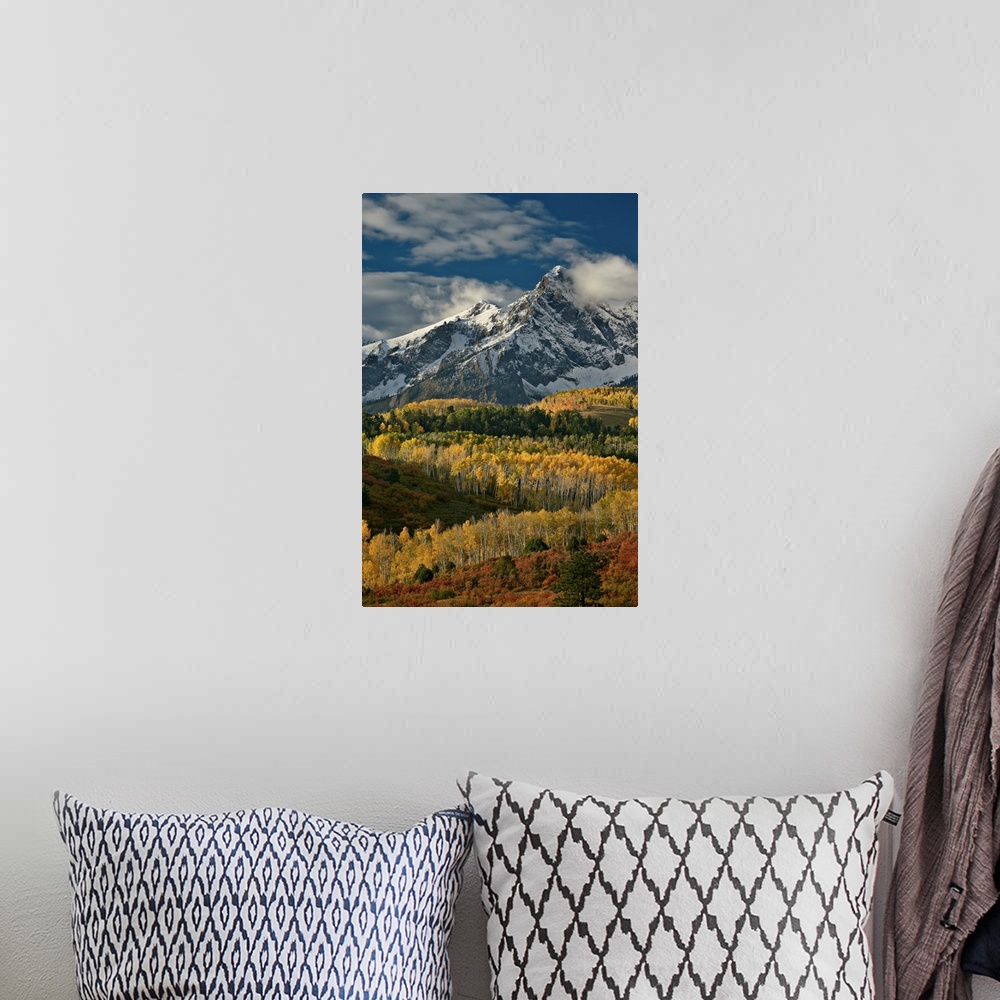 A bohemian room featuring Mears Peak with snow and yellow aspens in the fall, Colorado, USA