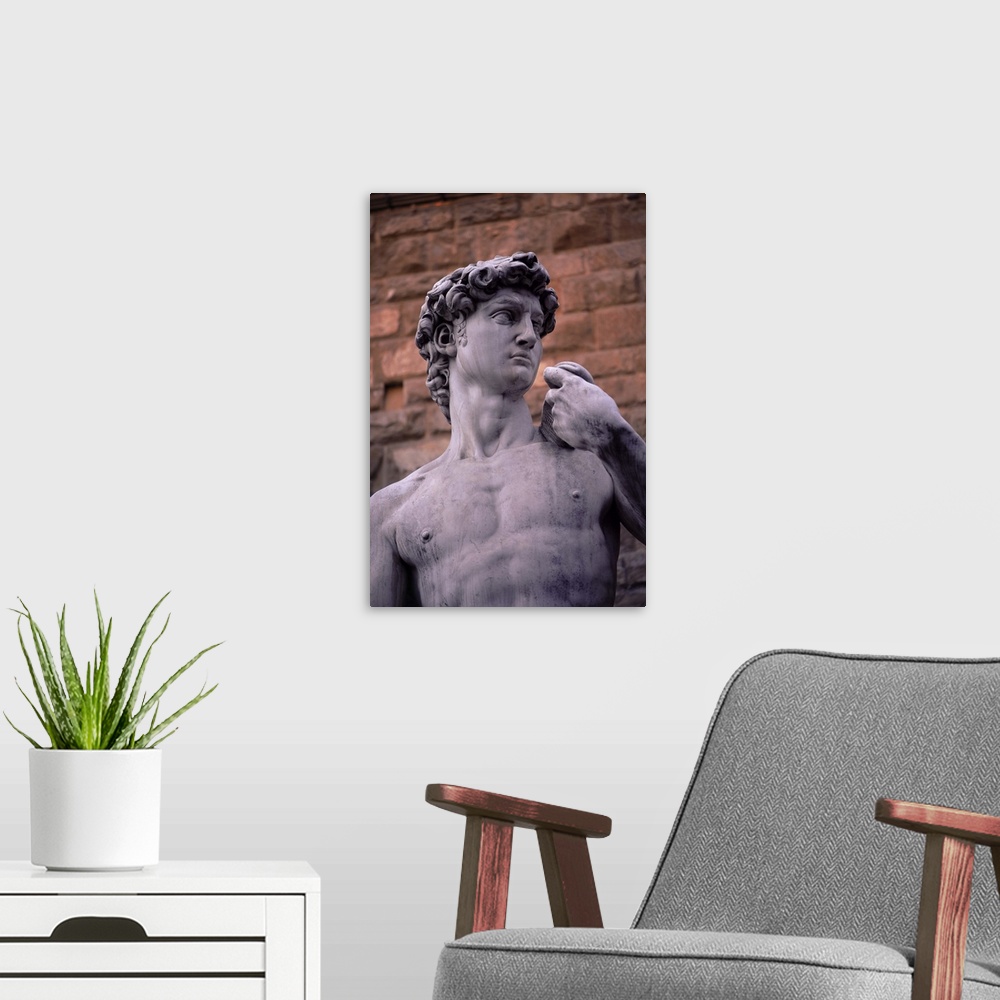 A modern room featuring Michelangelo's David, Piazza della Signoria, Florence, Tuscany, Italy, Europe