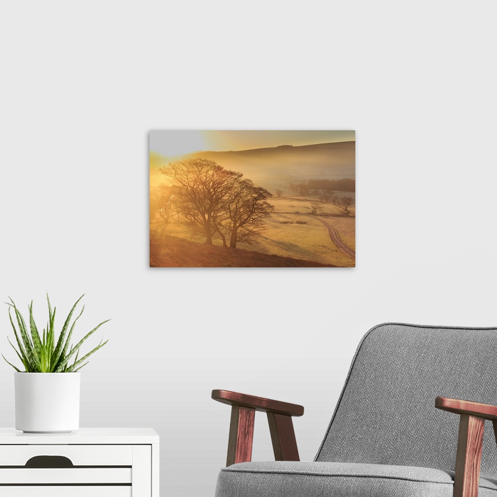 A modern room featuring Misty and frosty sunrise with a copse of trees in winter, Castleton, Peak District National Park,...