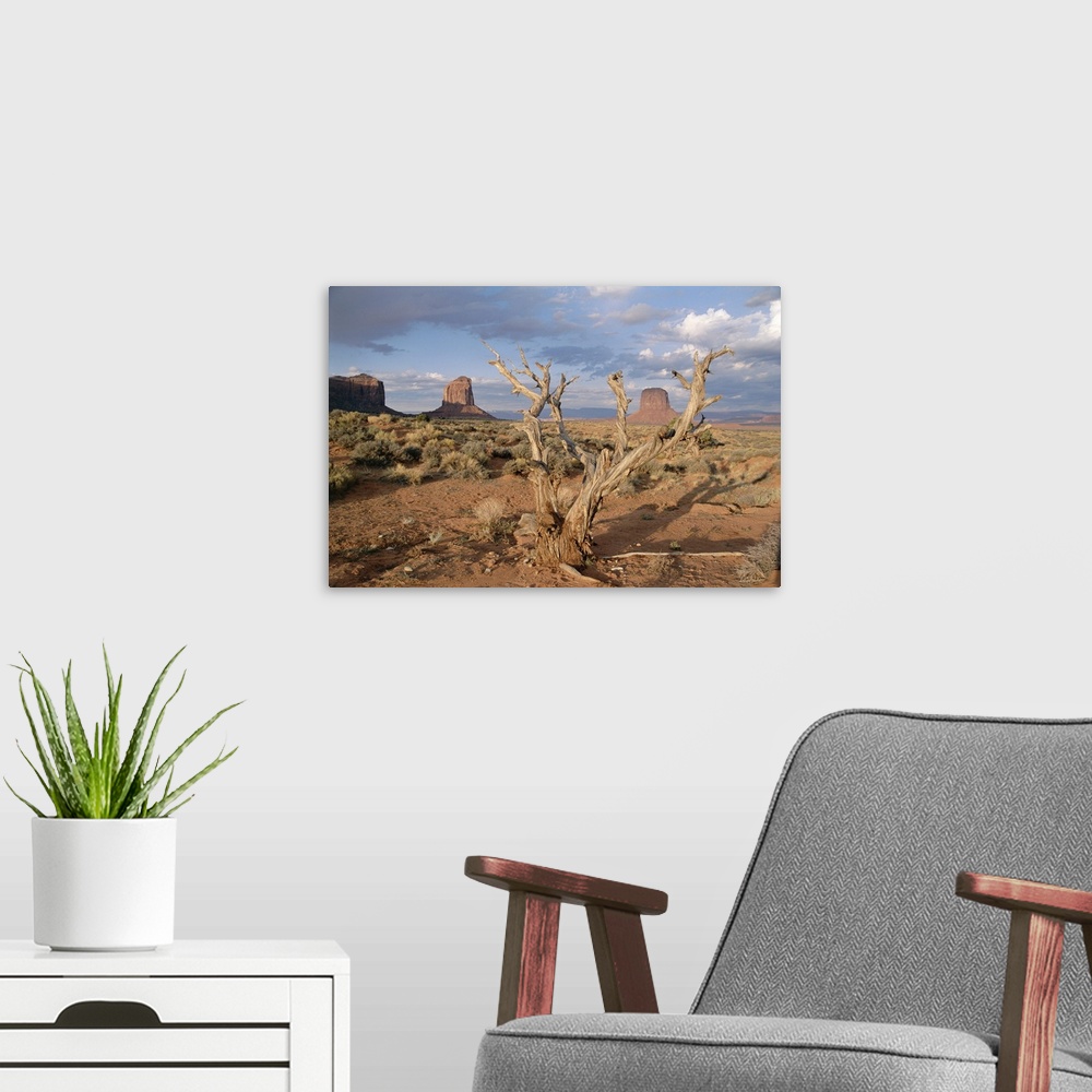 A modern room featuring Monument Valley, Arizona, United States of America (U.S.A.), North America
