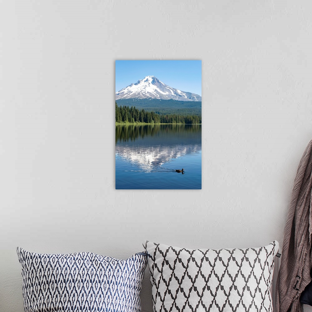 A bohemian room featuring Mount Hood, part of the Cascade Range, perfectly reflected in the still waters of Trillium Lake, ...