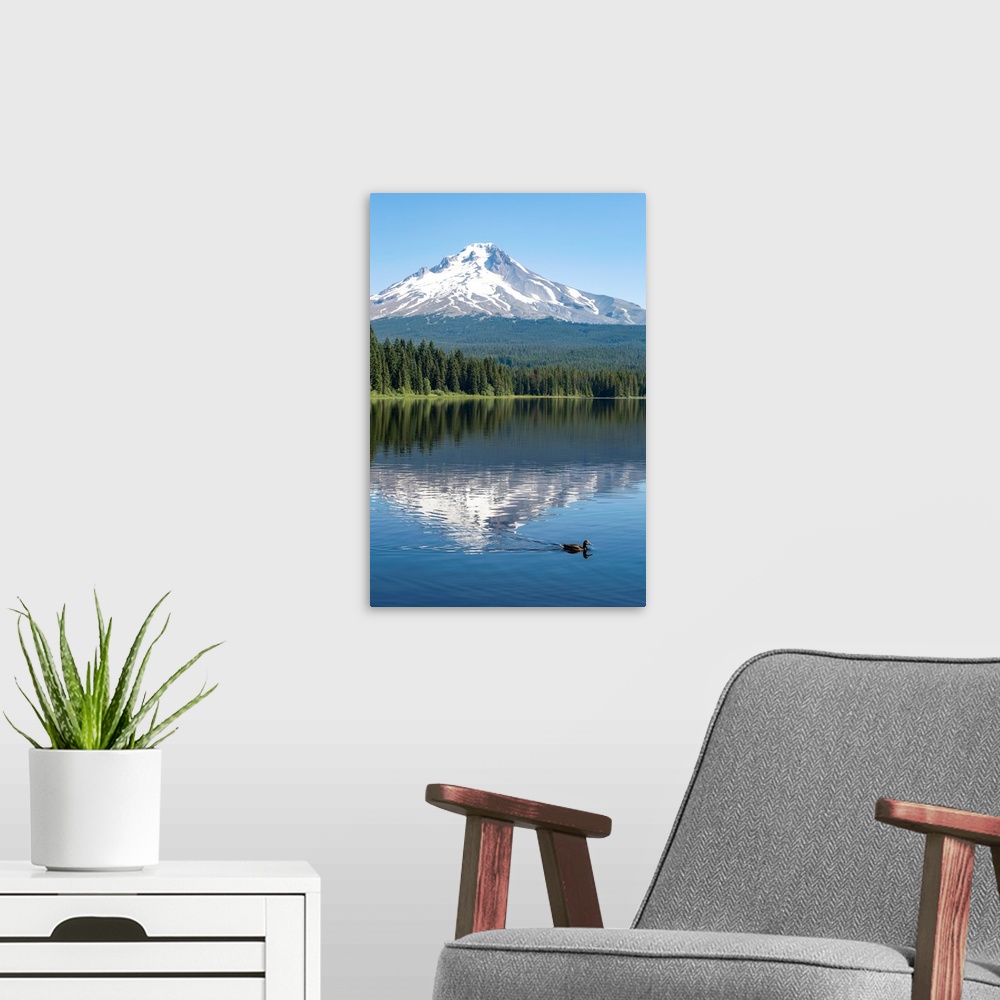 A modern room featuring Mount Hood, part of the Cascade Range, perfectly reflected in the still waters of Trillium Lake, ...