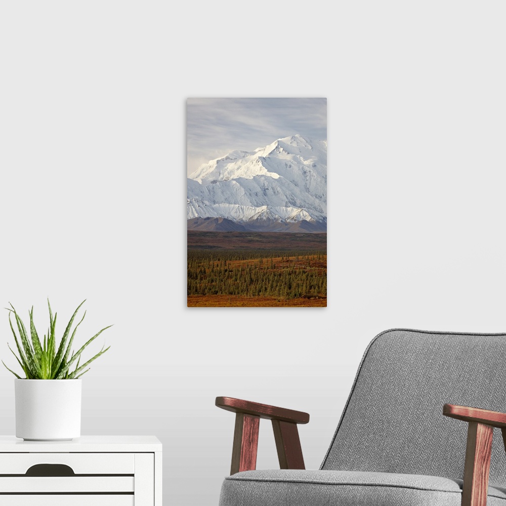 A modern room featuring Mount McKinley (Mount Denali), Denali National Park and Preserve, Alaska
