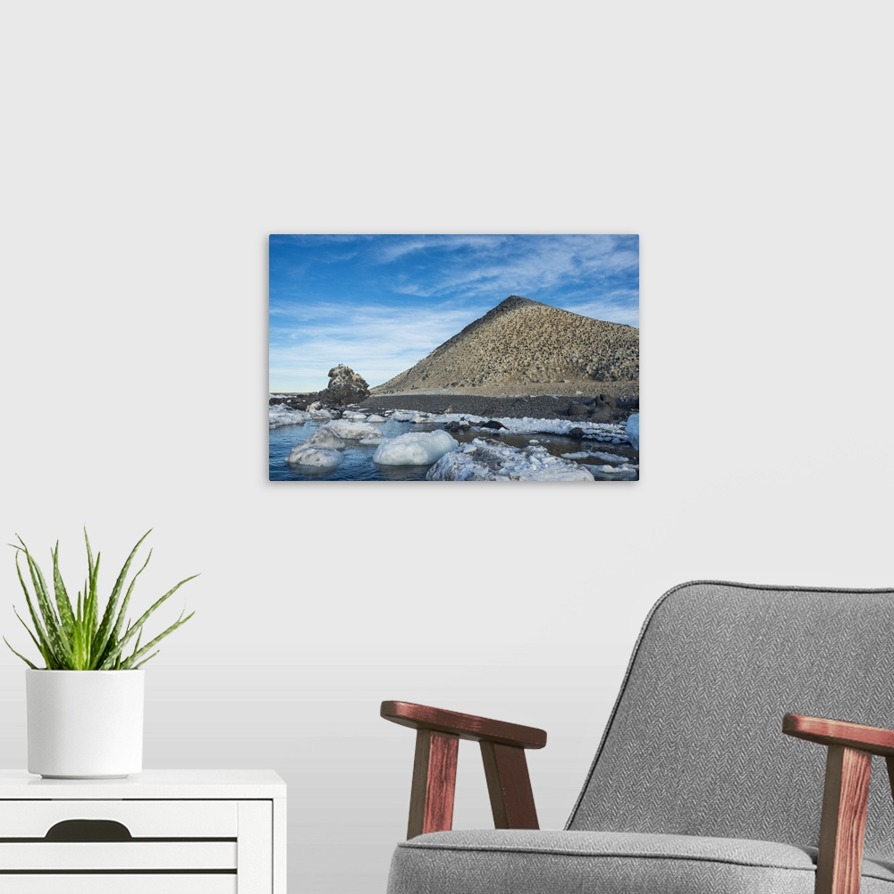 A modern room featuring Mountain full of imperial shags (Phalacrocorax atriceps), Paulet Island, Antarctica, Polar Regions
