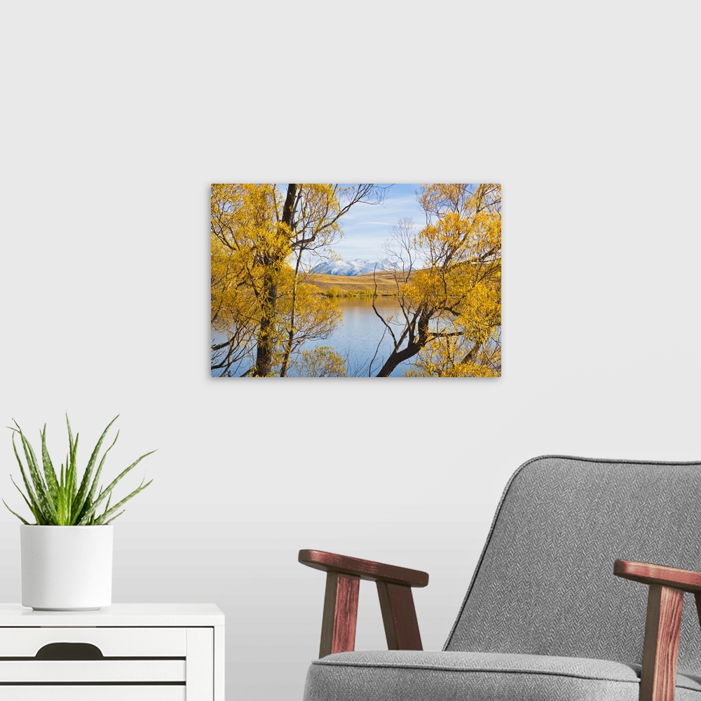A modern room featuring Mountains and autumn trees, Lake Alexandrina, South Island, New Zealand