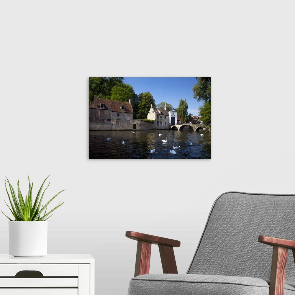A modern room featuring Mute swans (Cygnus olor), at the Minnewater Lake and Begijnhof Bridge with entrance to Beguinage,...