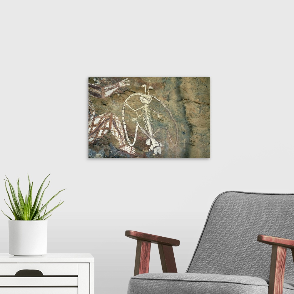 A modern room featuring Namarrgon, the Lightning Man, Kakadu National Park, Australia