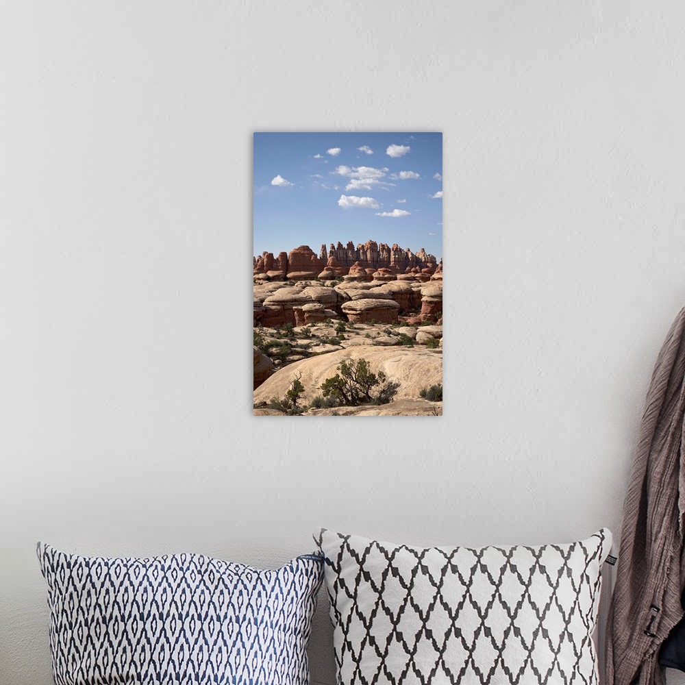 A bohemian room featuring Needles near Elephant Hill, Canyonlands National Park, Utah