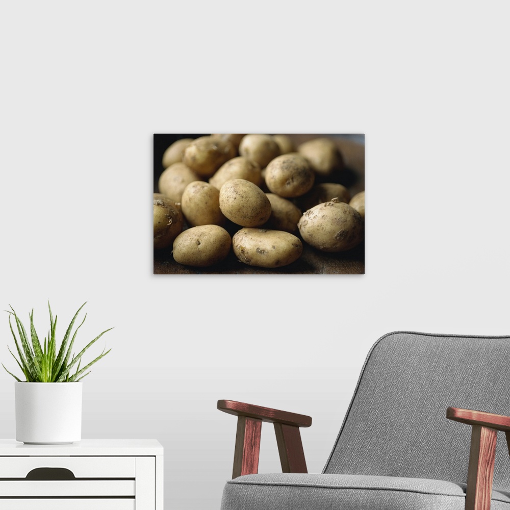 A modern room featuring New Potatoes