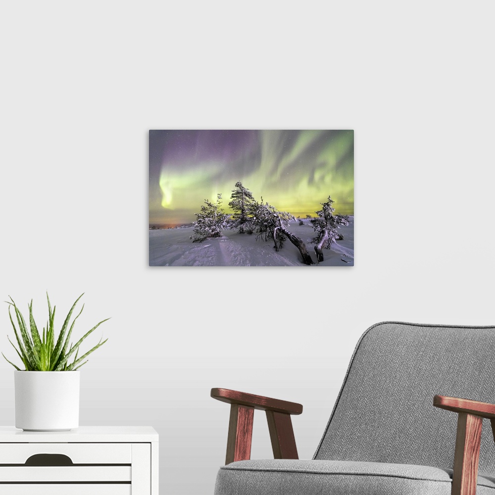 A modern room featuring Northern Lights and starry sky on the snowy landscape and the frozen trees, Levi, Sirkka, Kittila...