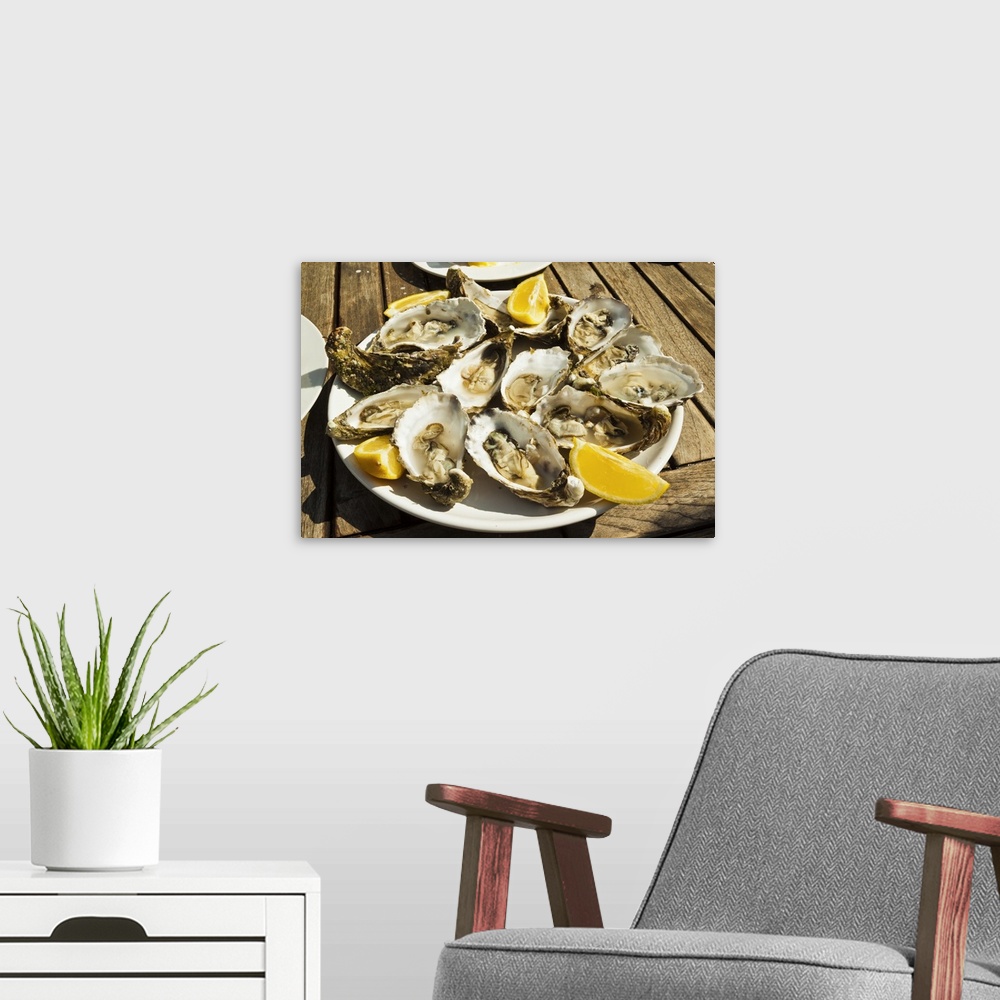 A modern room featuring Oysters ready to eat, thousands of tons of the shellfish are grown annually here, Ile de Re, Char...