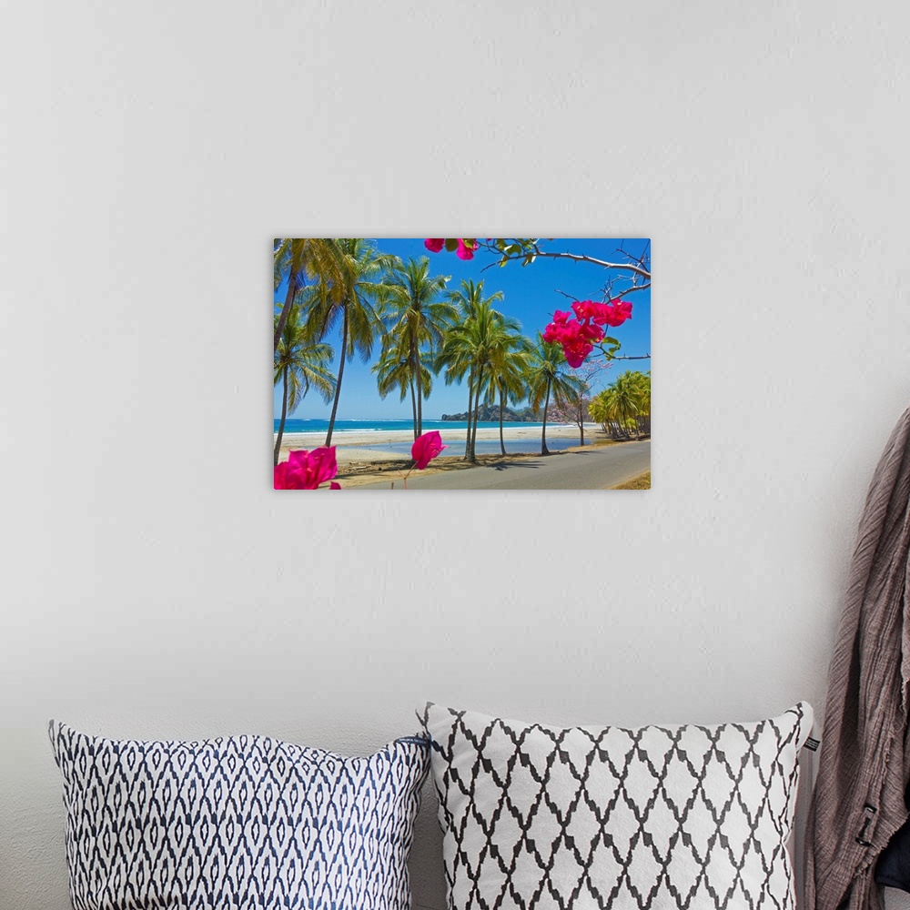 A bohemian room featuring Palm fringed white sand Playa Carrillo, Carrillo, Nicoya Peninsula, Costa Rica