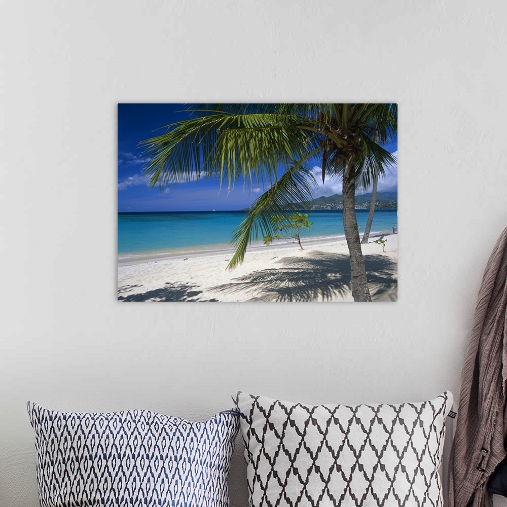 A bohemian room featuring Palm tee and beach, Grand Anse beach, Grenada, Windward Islands, Caribbean, West Indies