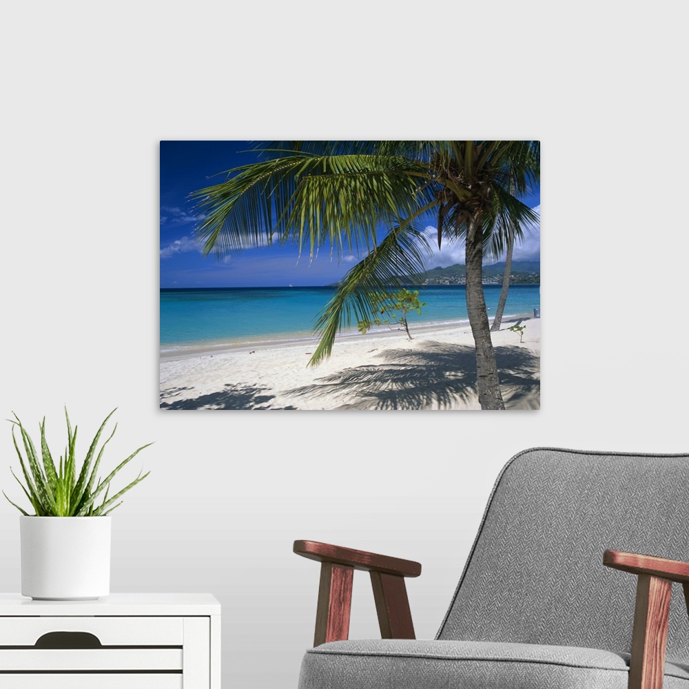 A modern room featuring Palm tee and beach, Grand Anse beach, Grenada, Windward Islands, Caribbean, West Indies