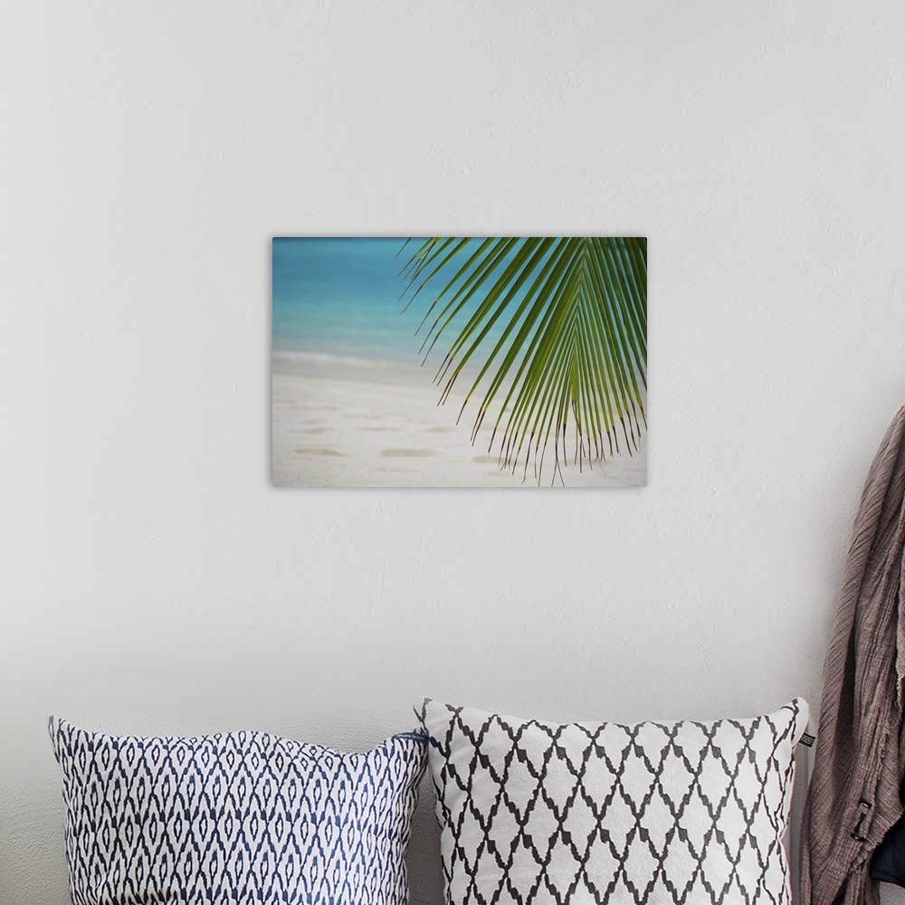 A bohemian room featuring Palm tree leaf and tropical beach, Maldives, Indian Ocean, Asia
