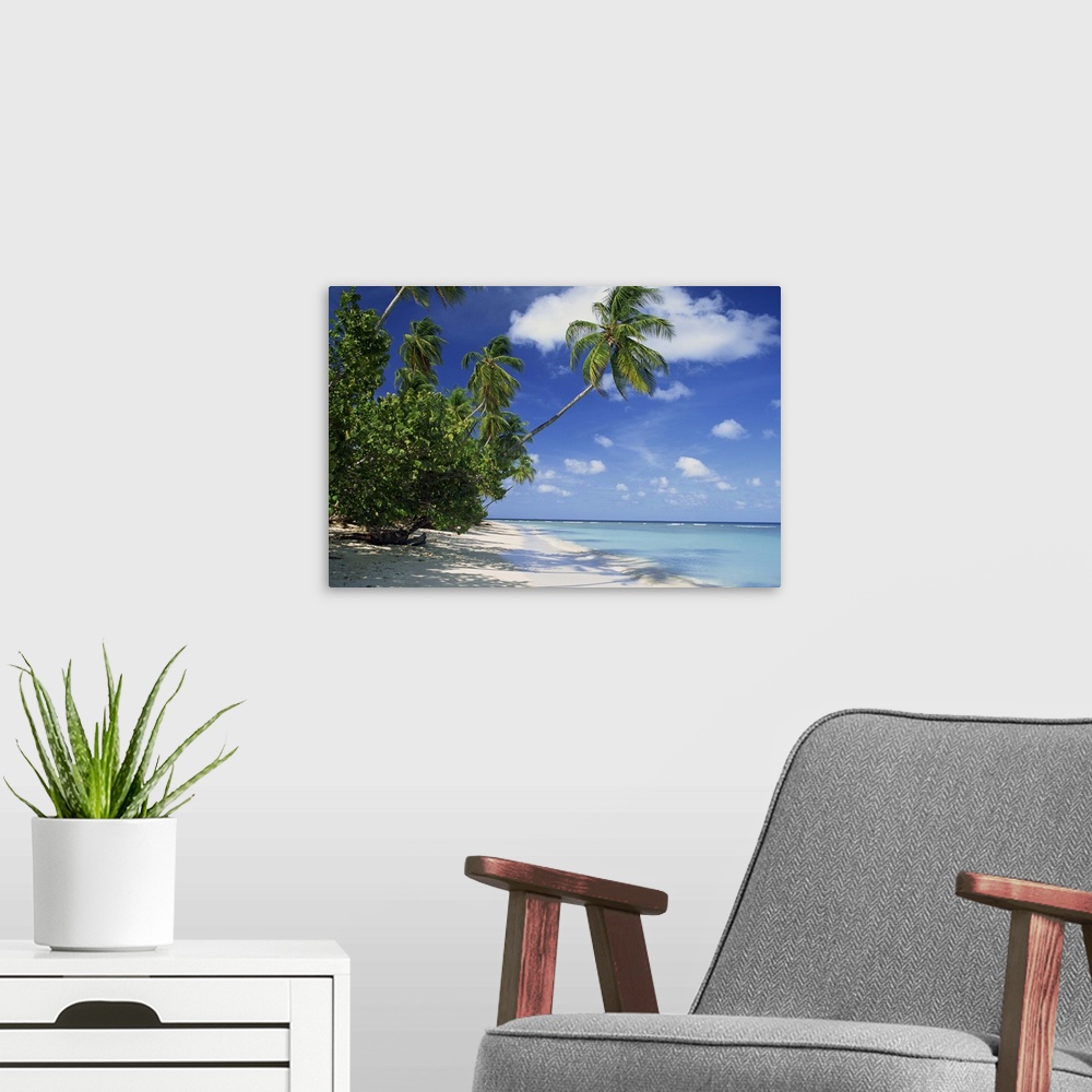 A modern room featuring Palm tree on a tropical beach on the island of Tobago, West Indies, Caribbean
