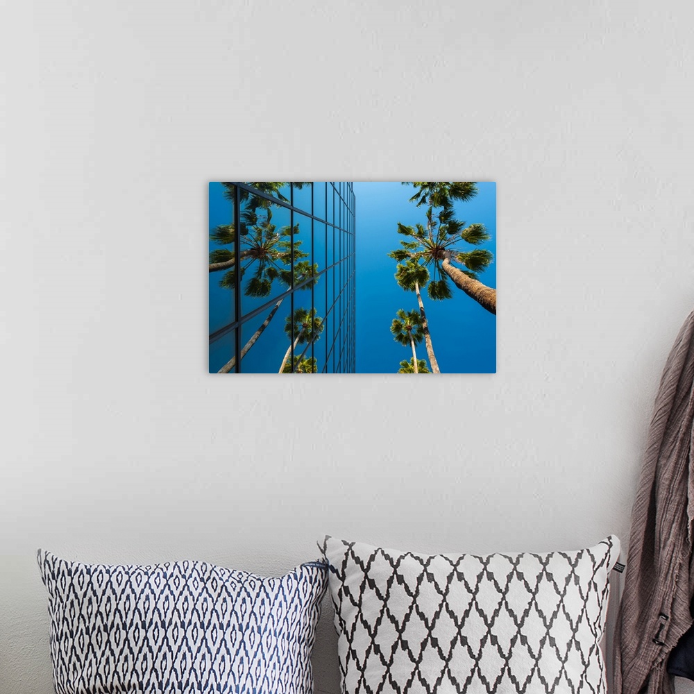 A bohemian room featuring Palm trees and glass building, worm's-eye view, Hollywood, Los Angeles, California, United States...