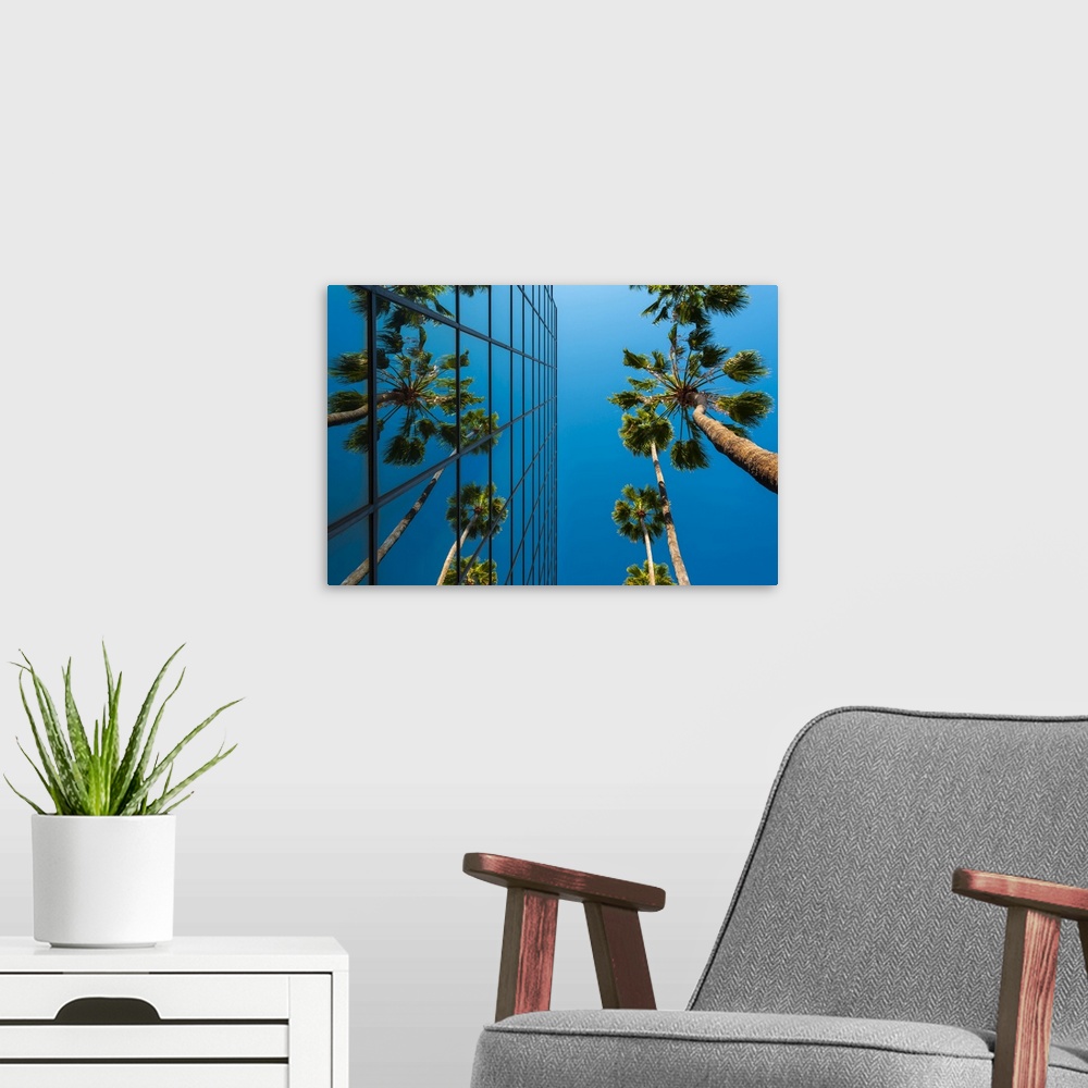 A modern room featuring Palm trees and glass building, worm's-eye view, Hollywood, Los Angeles, California, United States...