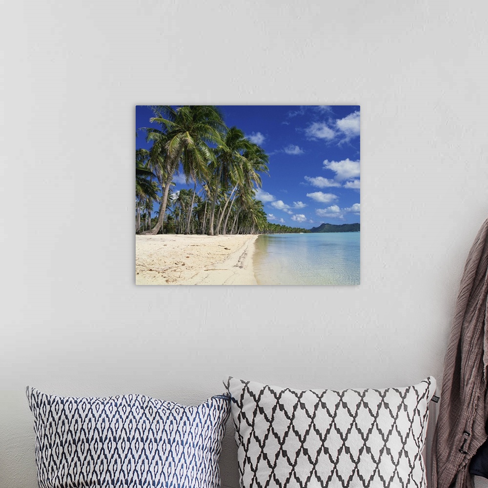 A bohemian room featuring Palm trees fringe the tropical beach and sea on Bora Bora Tahiti, French Polynesia