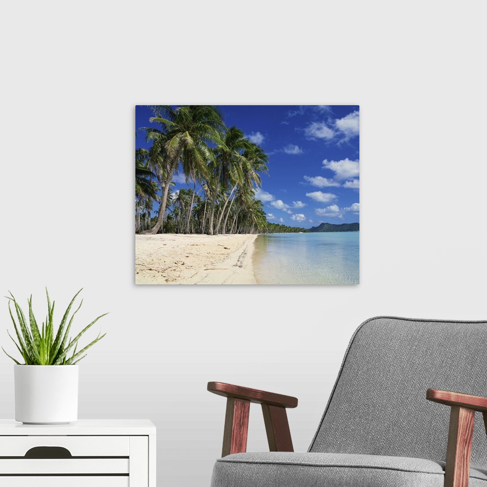 A modern room featuring Palm trees fringe the tropical beach and sea on Bora Bora Tahiti, French Polynesia