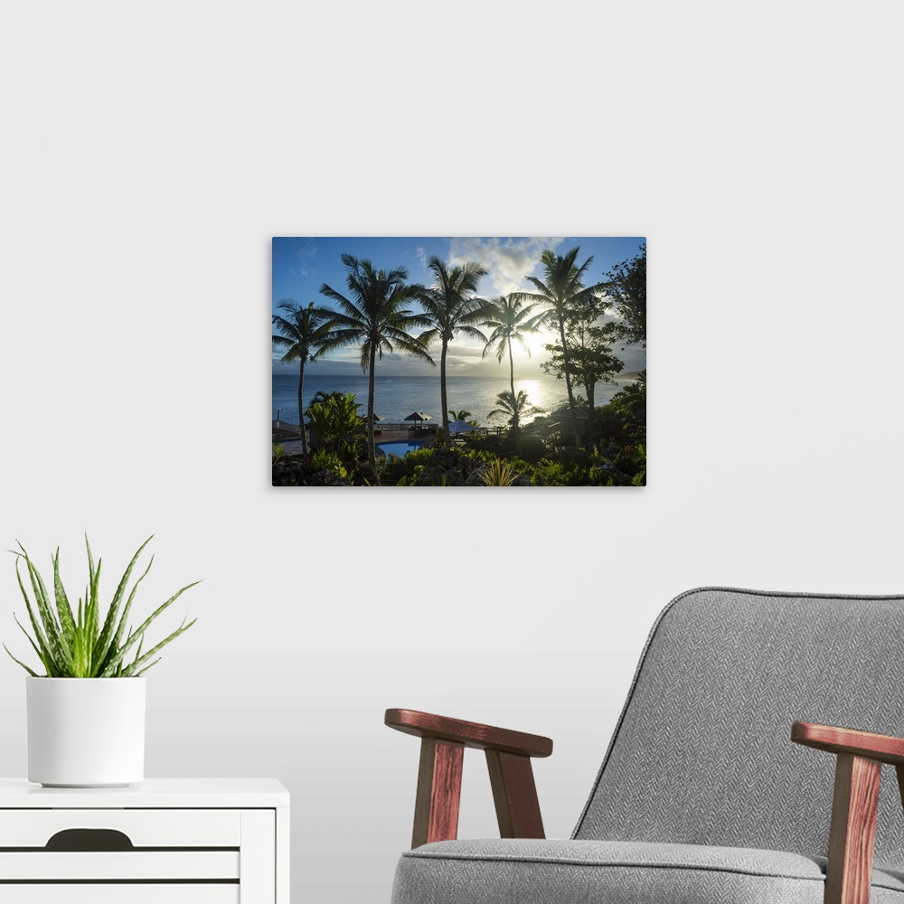 A modern room featuring Palm trees in backlight in Niue