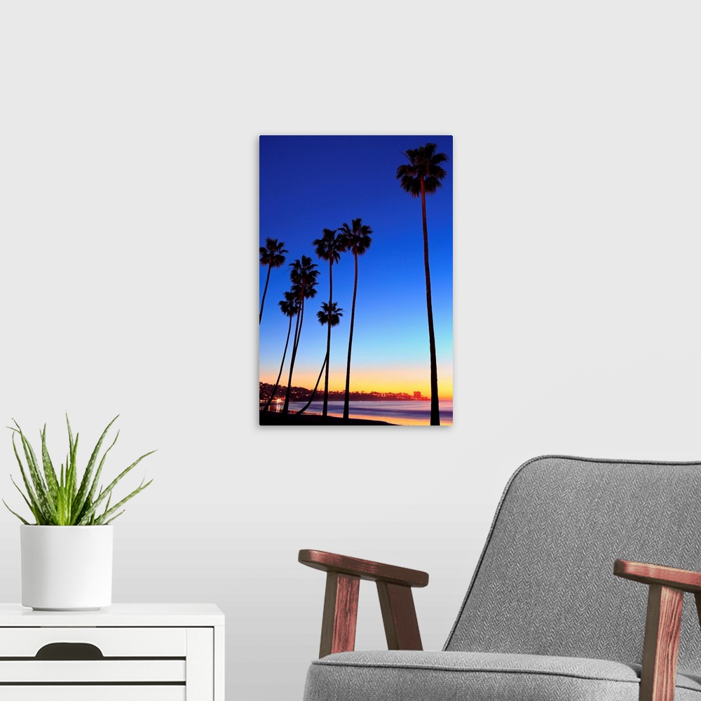 A modern room featuring Palm trees, La Jolla Shores Beach, La Jolla, San Diego, California